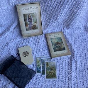 Animals Divine by Lisa Hunt Tarot card box set First Printing / First Edition